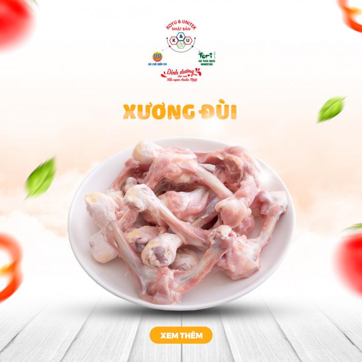 Xương Đùi